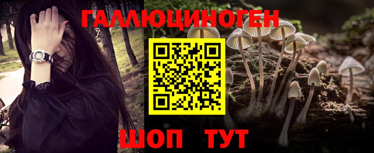 Псилоцибиновые грибы прущие грибы  Галлюциногенные грибы MAGIC MUSHROOMS  Вход с VPN  Михайловка 